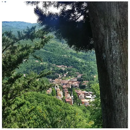 Il Poderino Dicomano