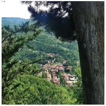 Il Poderino Dicomano